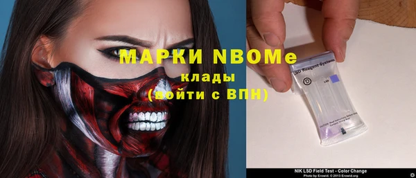 крисы Алзамай