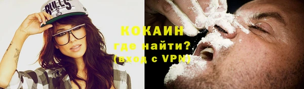 крисы Алзамай