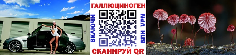 даркнет наркотические препараты  hydra ССЫЛКА  Урюпинск  Псилоцибиновые грибы прущие грибы 