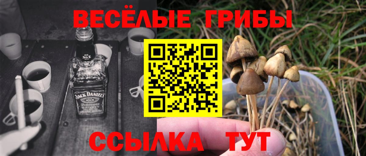 Урюпинск  Галлюциногенные грибы прущие грибы  где продают   Вход с VPN  Галлюциногенные грибы Cubensis 